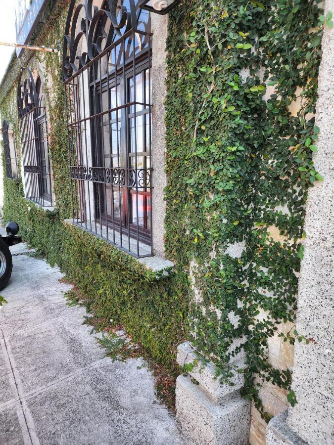 Hotel Villa Antigua サンサルバドル エクステリア 写真